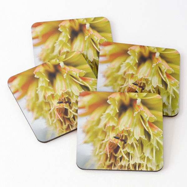 Item preview, Ant exploring a Red Hot Poker designed and sold by imaginethis.