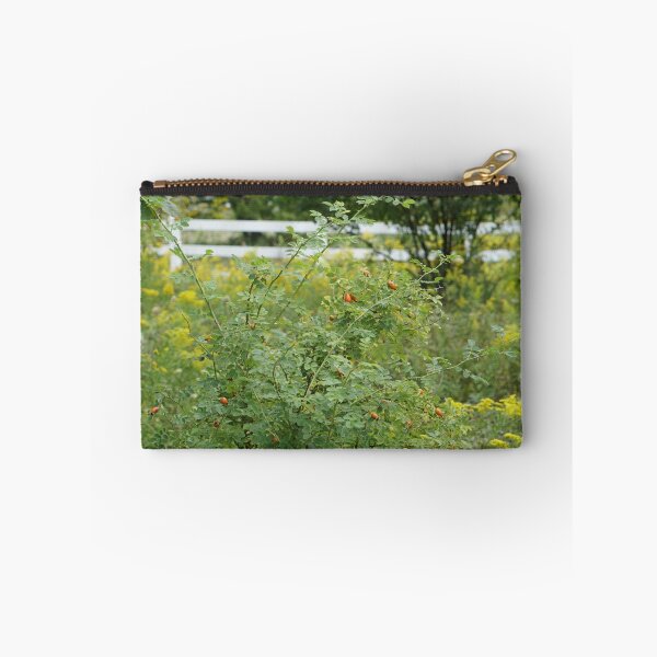 Item preview, rosehip bush designed and sold by distracted.
