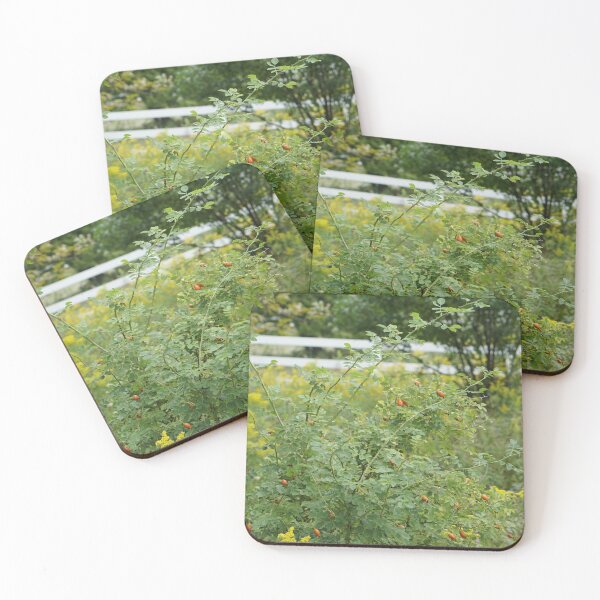 Item preview, rosehip bush designed and sold by distracted.