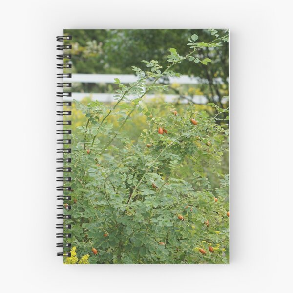 Item preview, rosehip bush designed and sold by distracted.