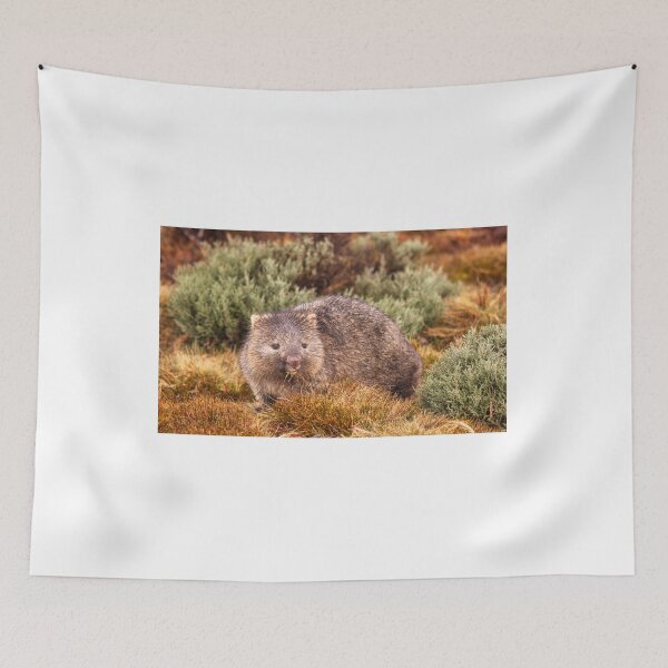Item preview, A Wombat designed and sold by dags.