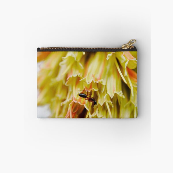 Item preview, Ant exploring a Red Hot Poker designed and sold by imaginethis.