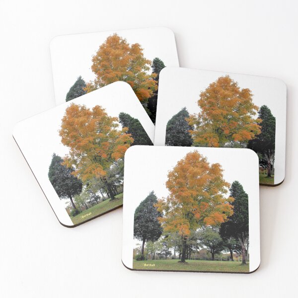 Item preview, "Fall in West Knoxville, Knoxville, Tennessee, # 3"... prints and products designed and sold by Bob Hall©.