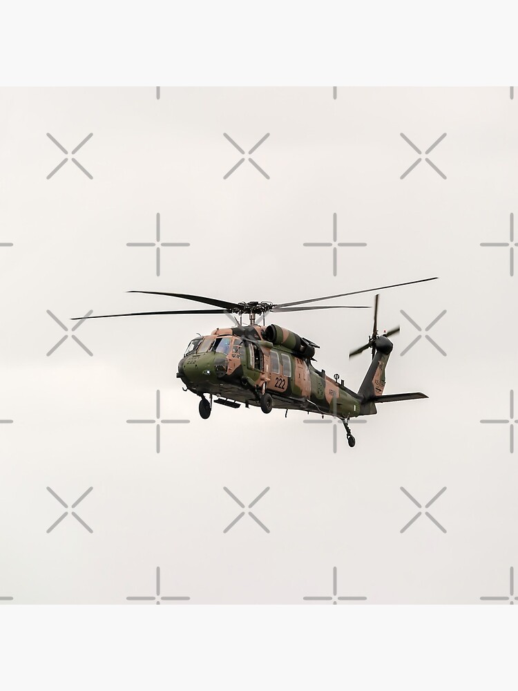 Black Hawk by RayW