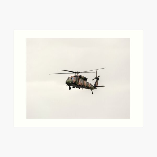 Black Hawk Art Print