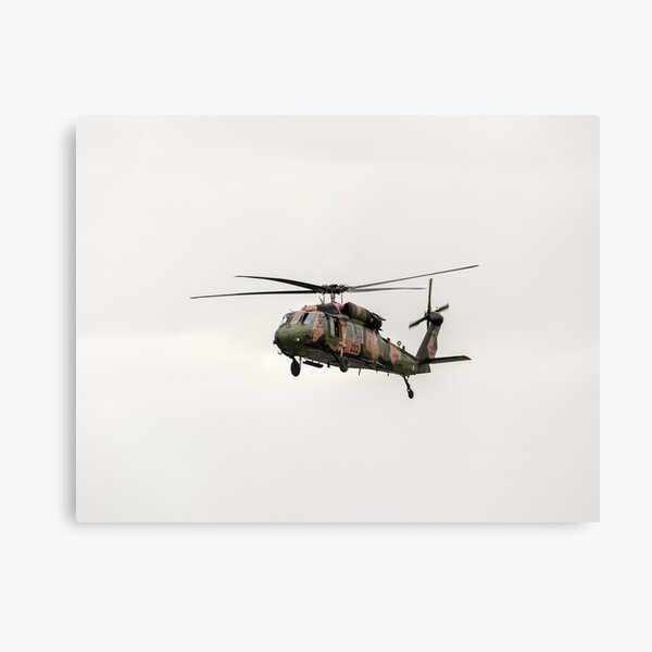 Black Hawk Canvas Print