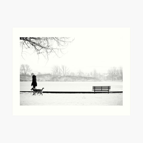 The Lough, Cork, Ireland Art Print