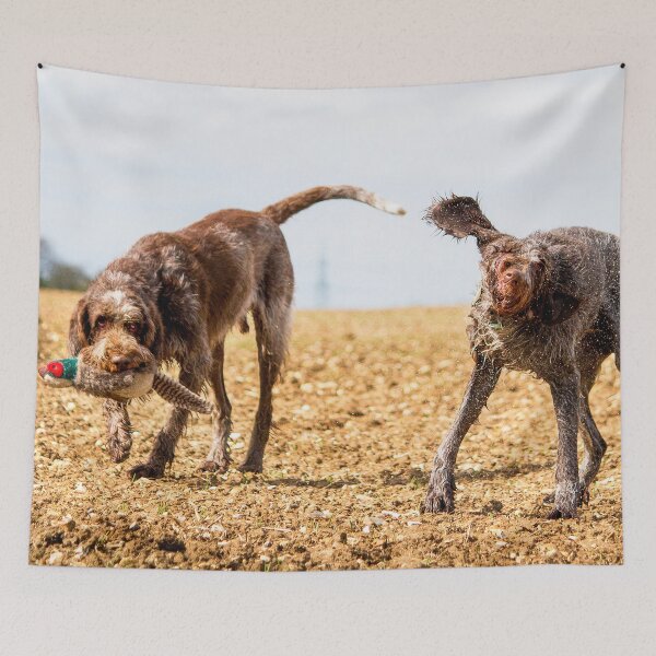 Item preview, Italian Spinone Dogs Luca and Nico by heidiannemorris designed and sold by FOLK ART FUSION by heidiannemorris.