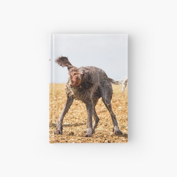 Italian Spinone Dogs Luca and Nico Hardcover Journal