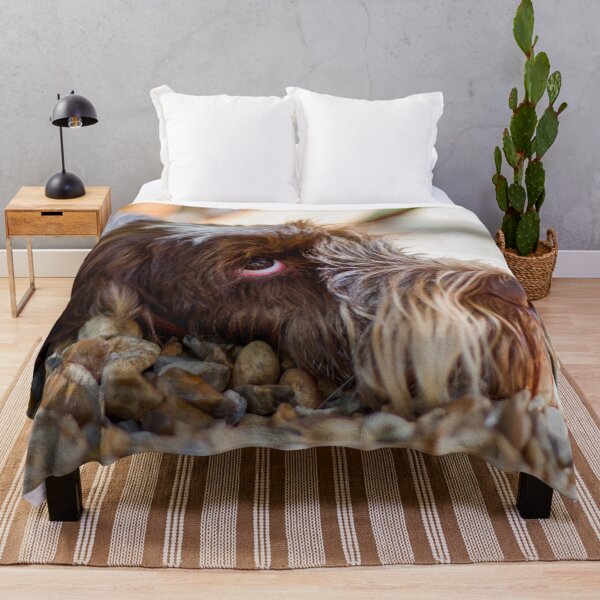 Looking up Spinone Throw Blanket