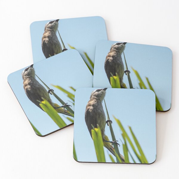 Item preview, Yellow Vented Bulbul designed and sold by DonMc.