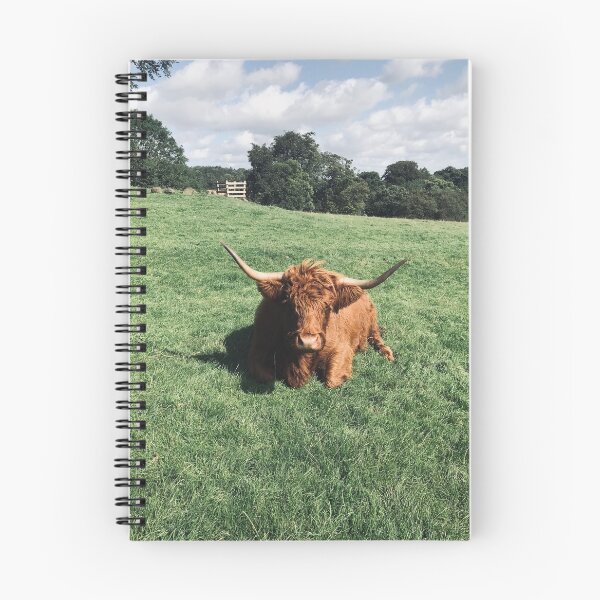 Item preview, Highland Coo designed and sold by Doug Cook.