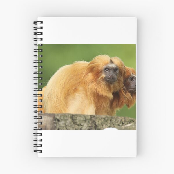 Item preview, Golden Lion Tamarins designed and sold by aquabella.