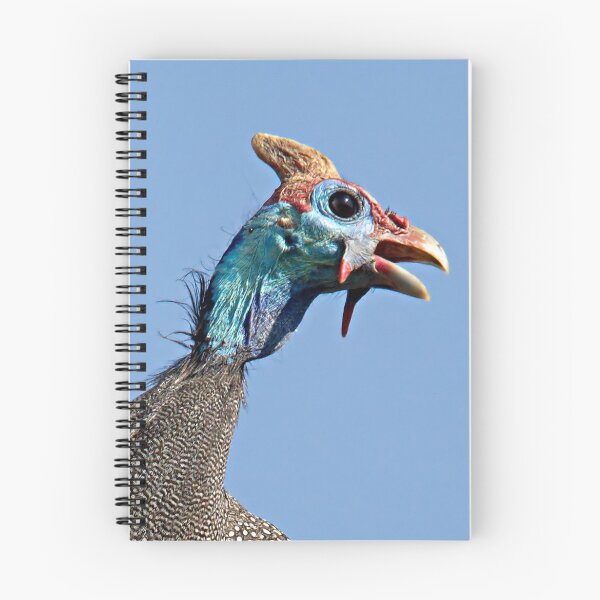 Item preview, Helmeted Guinea Fowl designed and sold by Michael Moss Photography.