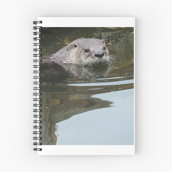 Item preview, Otter designed and sold by aquabella.