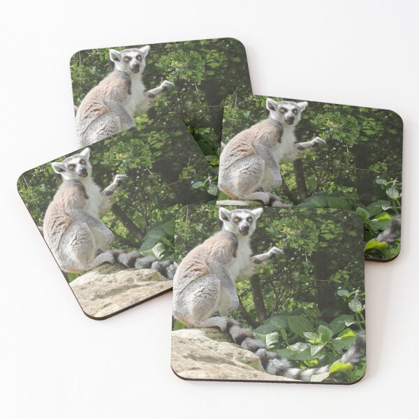Item preview, Ring Tailed Lemur designed and sold by aquabella.
