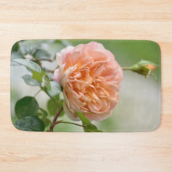 Item preview, Apricot Rose designed and sold by imaginethis.