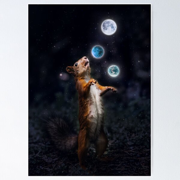 Item preview, Juggling squirrel designed and sold by Christiana Ondrak.