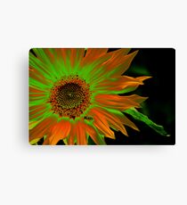 Solarization Canvas Print