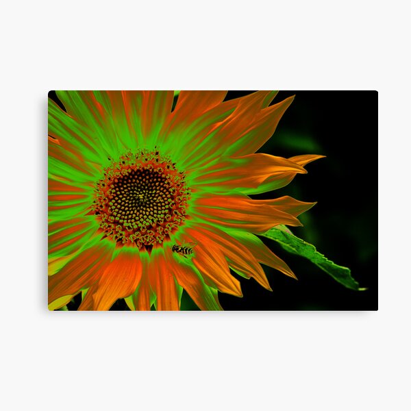 Item preview, Solarization designed and sold by Mike Freedman.