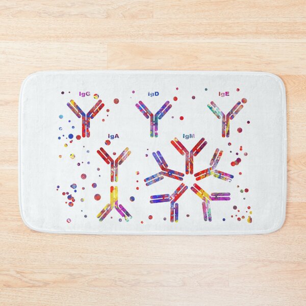 Item preview, Antibody molecule, IgA, IgG, IgM, IgE, IgD  designed and sold by Rosaliartbook.