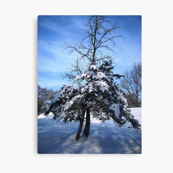 Icy blue Canvas Print