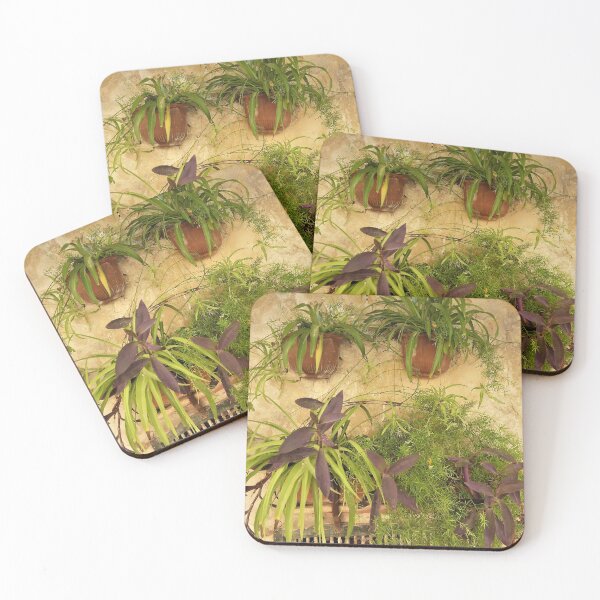 Item preview, The Spider Plants designed and sold by Fara.