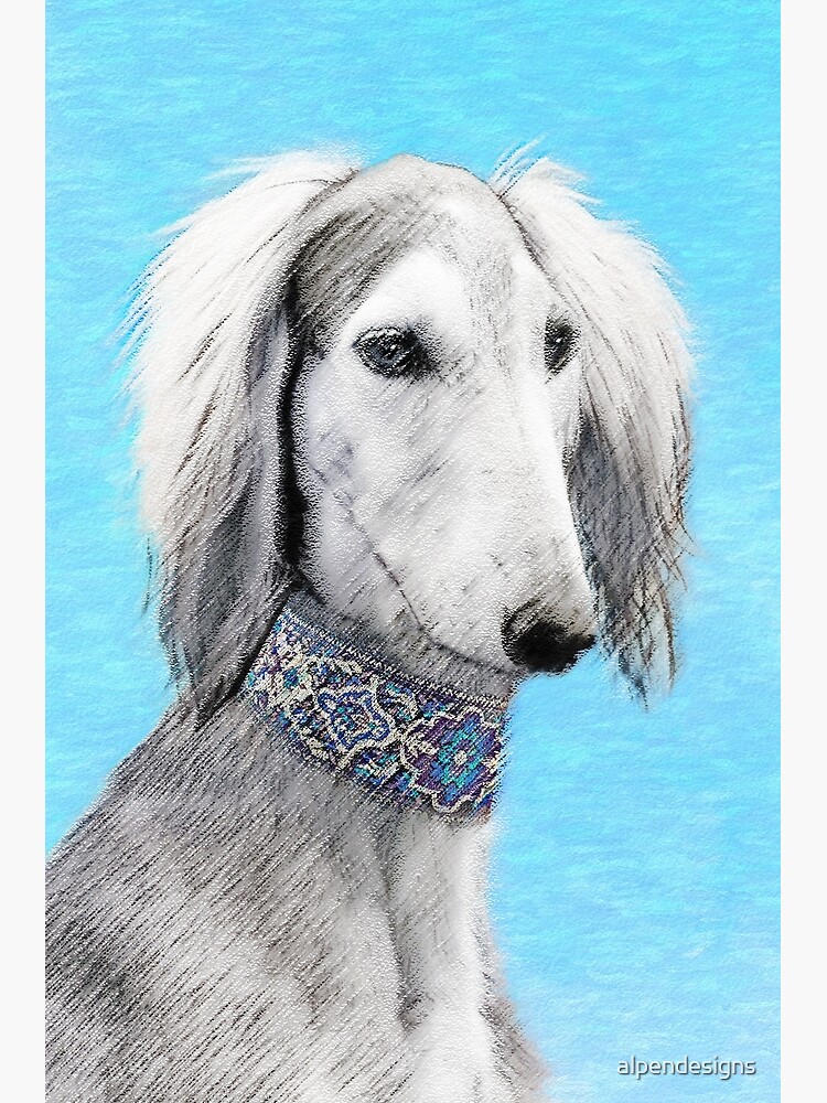 Silver saluki discount