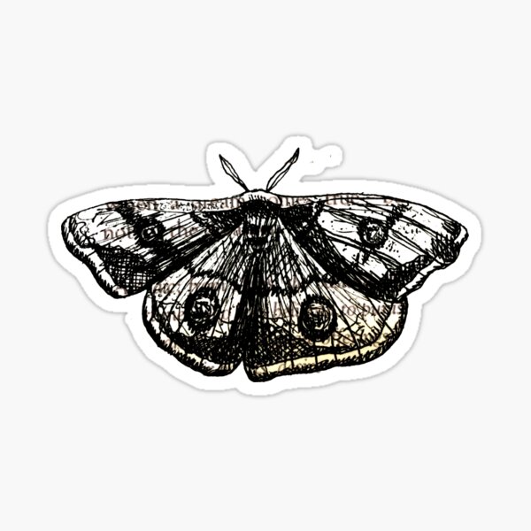STRANGE THE DREAMER MOTH ART Sticker
