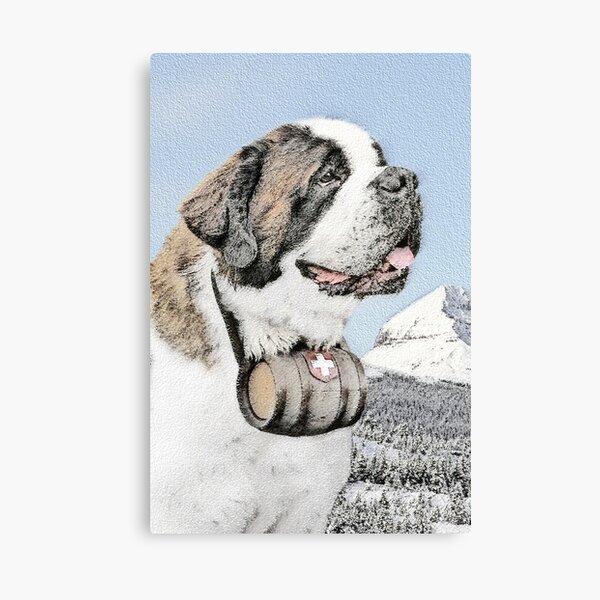 Saint Bernard Canvas Print