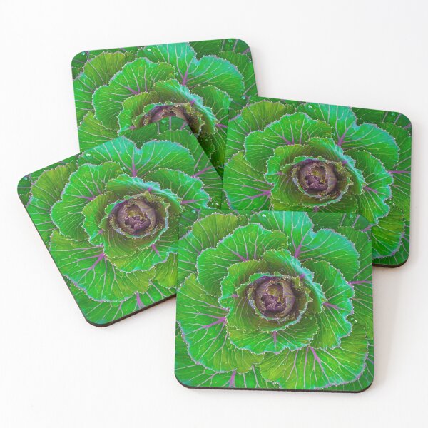 Item preview, When choosing cabbage, find the savage designed and sold by alan shapiro.