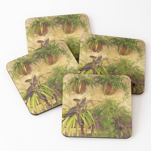 Item preview, The Spider Plants designed and sold by Fara.