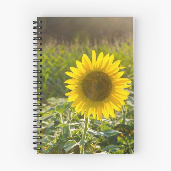 Artikelvorschau, Sonne flowers_2 entworfen und verkauft von Jamie317.