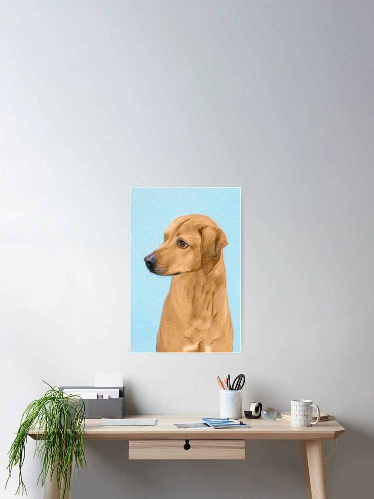 Thumbnail 2 of 3, Poster, Rhodesian Ridgeback designed and sold by alpendesigns.