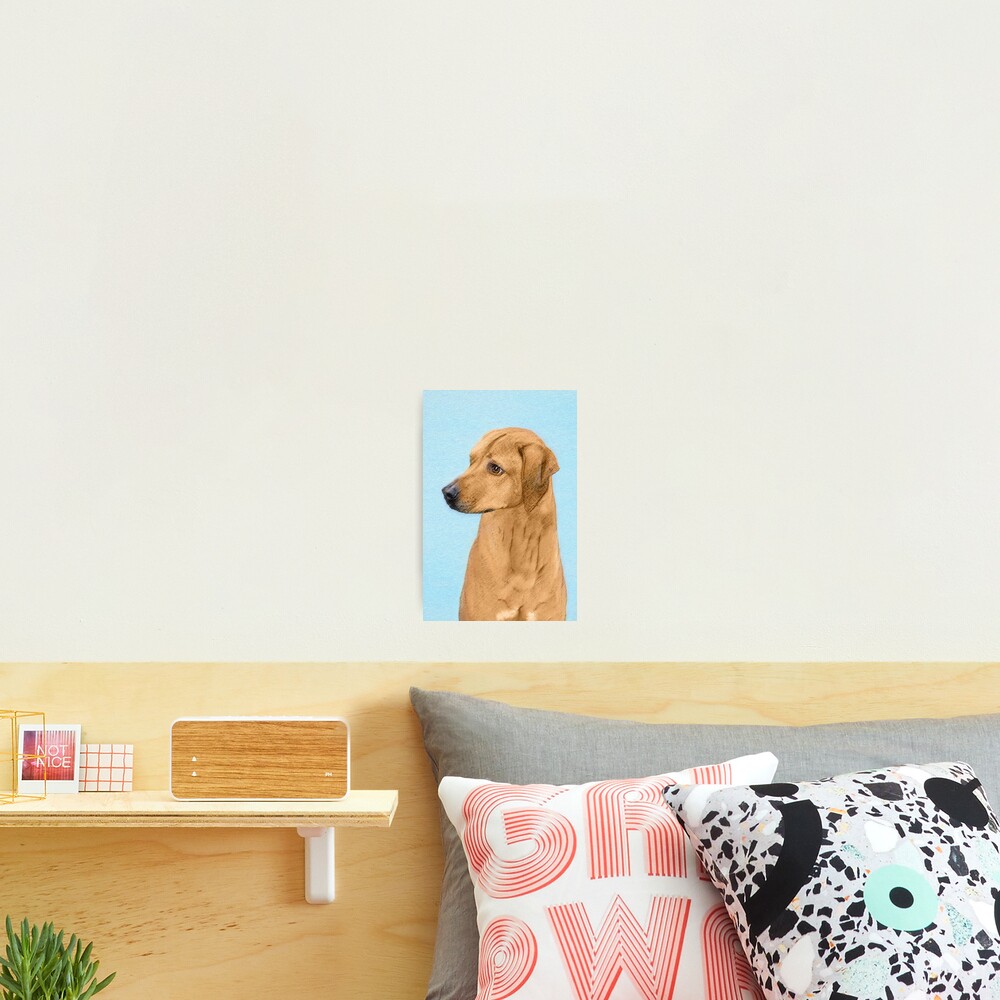 Item preview, Photographic Print designed and sold by alpendesigns.