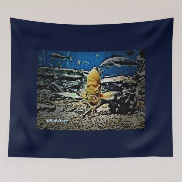 Item preview, "Hold That Pose"... prints and products designed and sold by Bob Hall©.