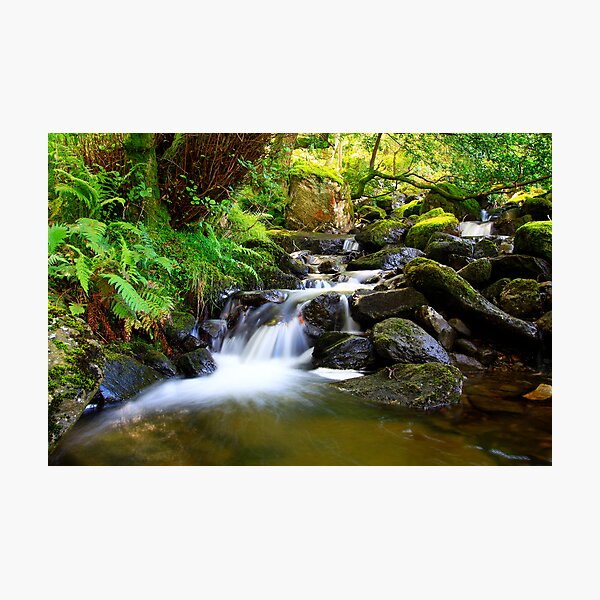 Item preview, mossy waterfall designed and sold by adouglas.