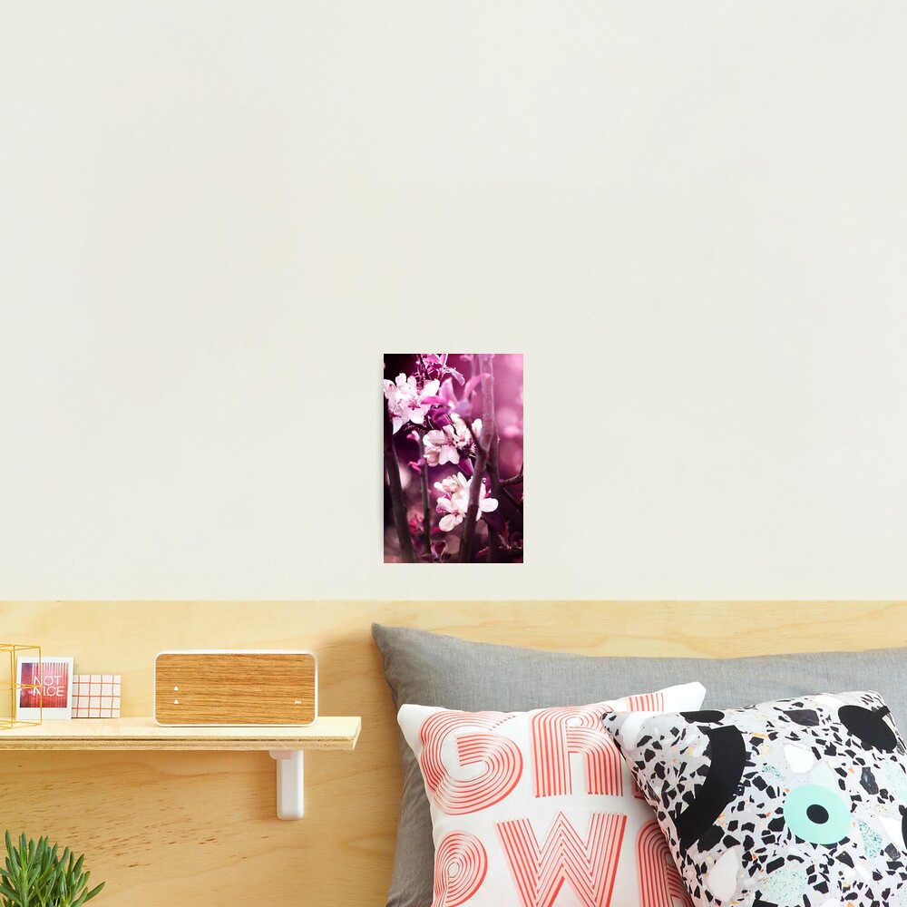 Item preview, Photographic Print designed and sold by drxgonfly.