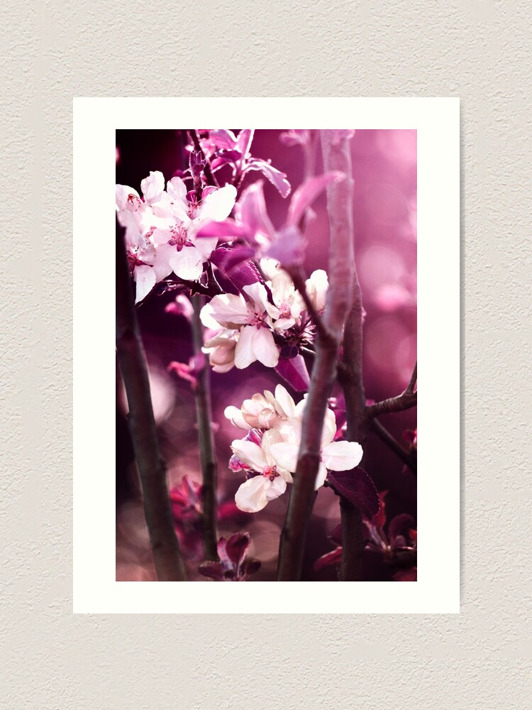Thumbnail 1 of 3, Art Print, Hidden Blossoms designed and sold by drxgonfly.