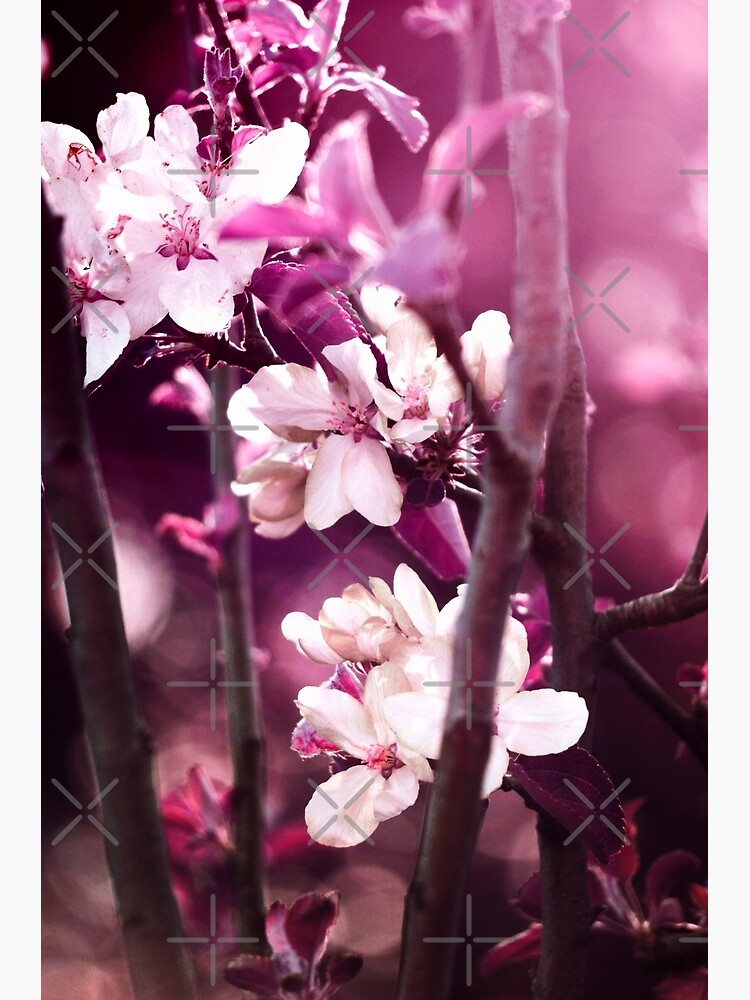 Thumbnail 3 of 3, Art Print, Hidden Blossoms designed and sold by drxgonfly.