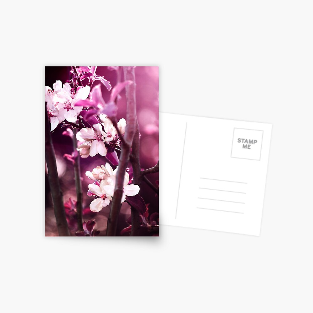 Item preview, Postcard designed and sold by drxgonfly.