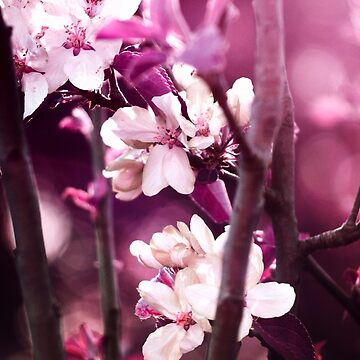 Artwork thumbnail, Hidden Blossoms by drxgonfly