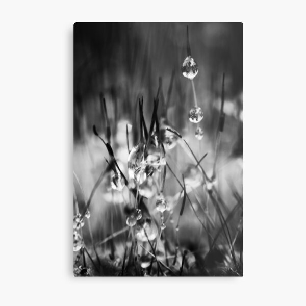 Item preview, Dew Drop Dreams B&W  designed and sold by WobblyWombat.