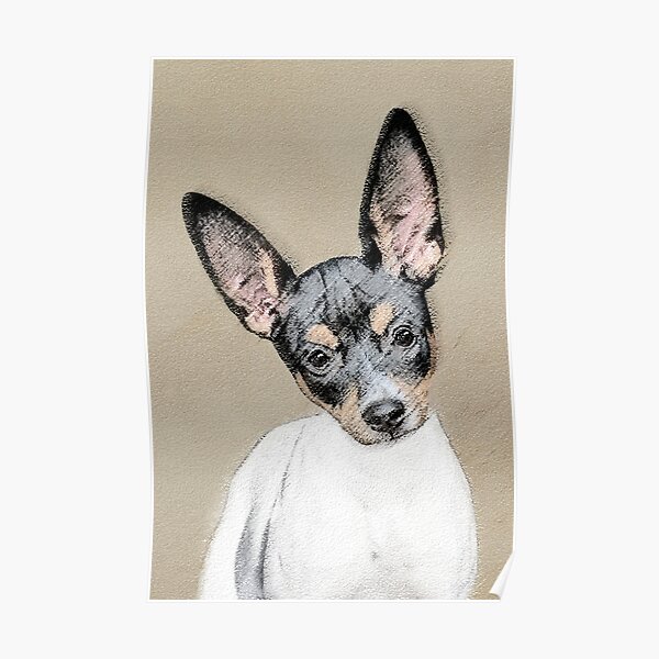 Rat Terrier Poster