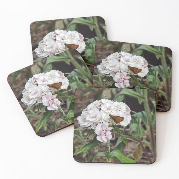 Item preview, One On The Sweet William                              Pentax X-5 16 MP designed and sold by TKUsitalo.