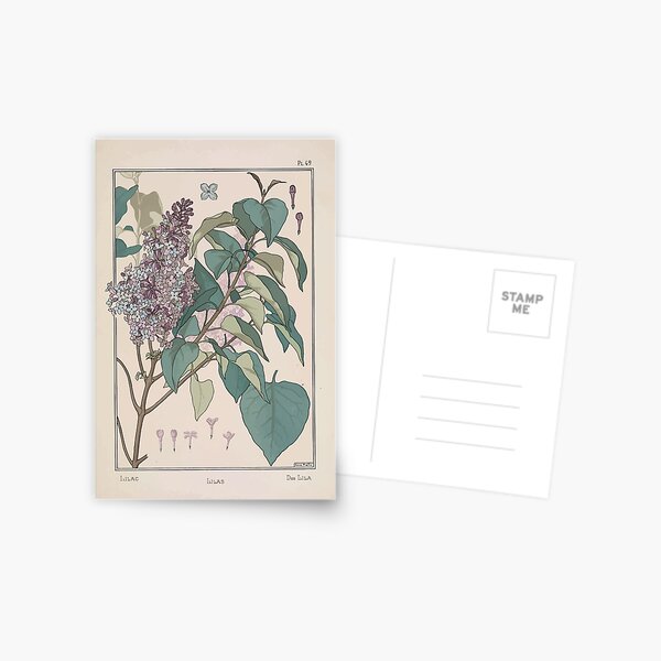 Item preview, Plante et Ses Applications Ornementales Ornamental Plants Grasset Eugene Maurice Pillard Verneuil 1896 Art Nouveau 0093 Lilac designed and sold by wetdryvac.