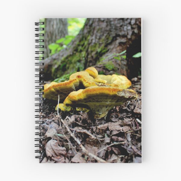 Item preview, Rising Crust Fungus? designed and sold by Kathleen Daley.
