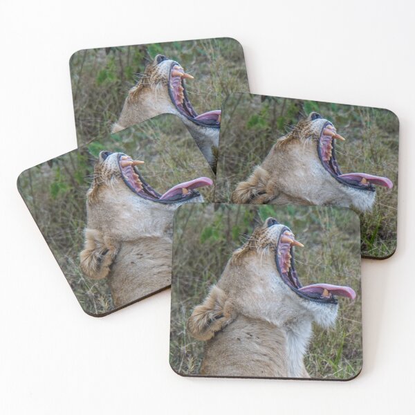 Item preview, Lioness Yawning designed and sold by ETBtravelphotog.