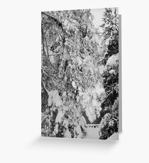 First Snow Fall Greeting Card