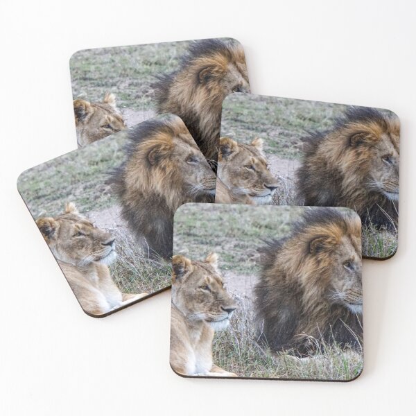 Item preview, Lion Honeymoon Couple designed and sold by ETBtravelphotog.